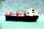Bulker na sprzedaż