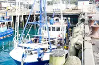 TRAWLER LONG LINER COMMERCIAL FISHING