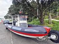 SEALEGS AMPHIBIOUS RIB. MNZ SURVEYED 12 PERSONS -   NEGOTIABLE