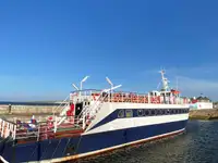 250 DAY PAX FERRY TOUR BOAT FOR SALE